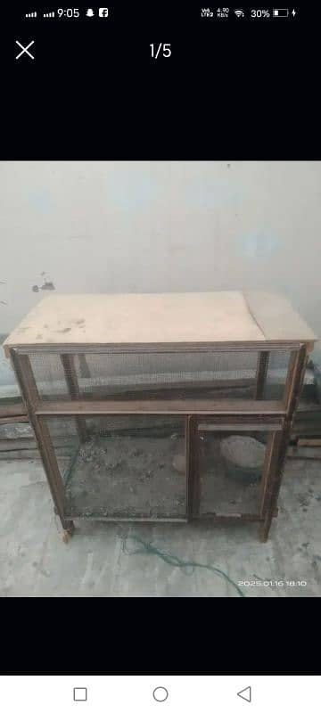 murgeyon ka Ghar 4