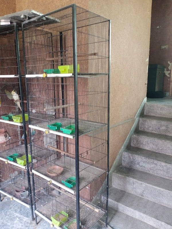 1.5 by 2 4 portion cage 3