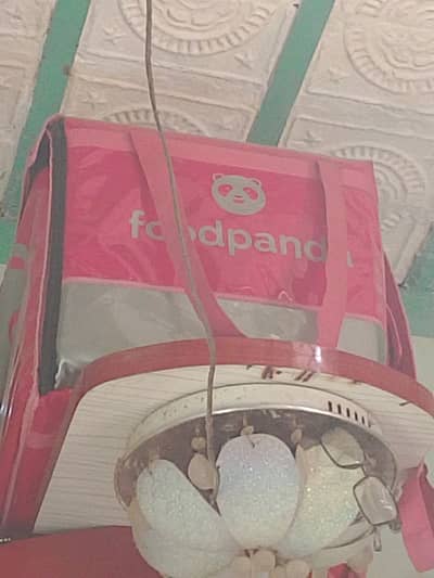 FOOD PANDA BAIG NEW
