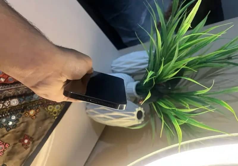 Apple iphone 12 pro max 1