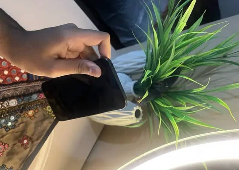 Apple iphone 12 pro max 2
