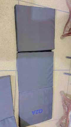 3 fold gym Matt