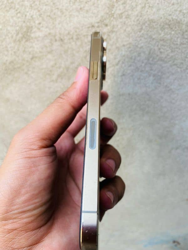 I Phone 13 Pro max Fu 1