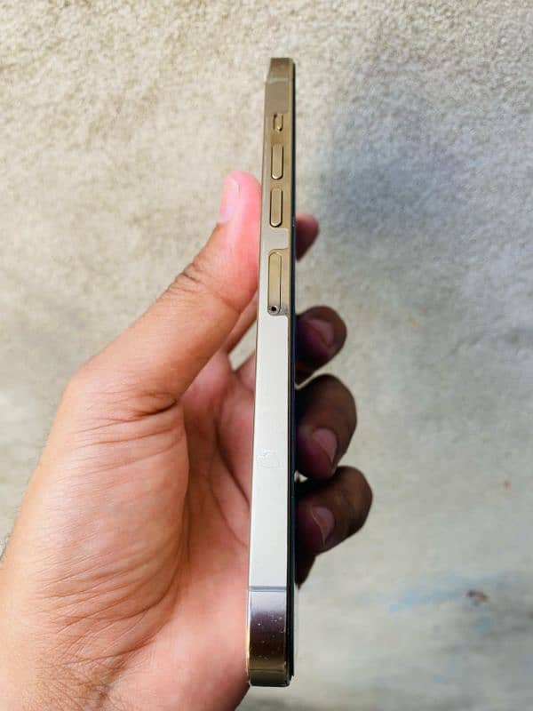 I Phone 13 Pro max Fu 3