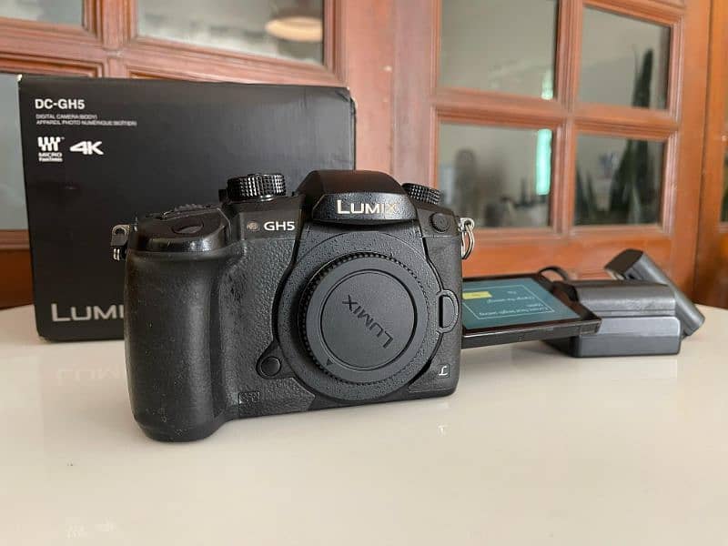 Panasonic Lumix-DC-GH5 2