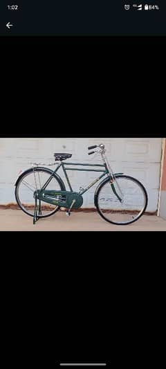 china cycle.