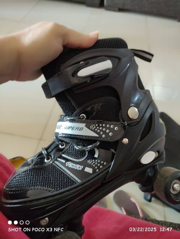 skates 3