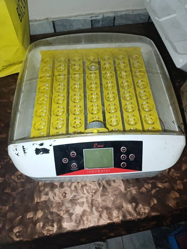 Incubator 1