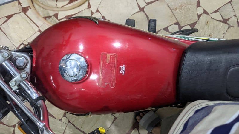 Honda CD 70 - 2023 model - red color 6