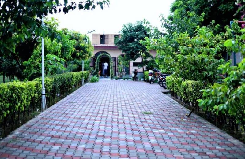 A beautiful Farm House available for Rent 4
