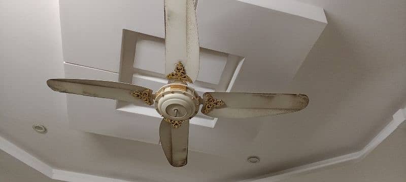 Fan AC 220  new style elegant design 0