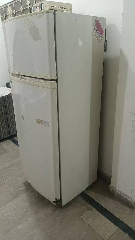 medium size fridge 1