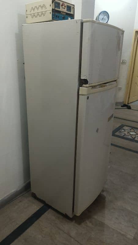 medium size fridge 2