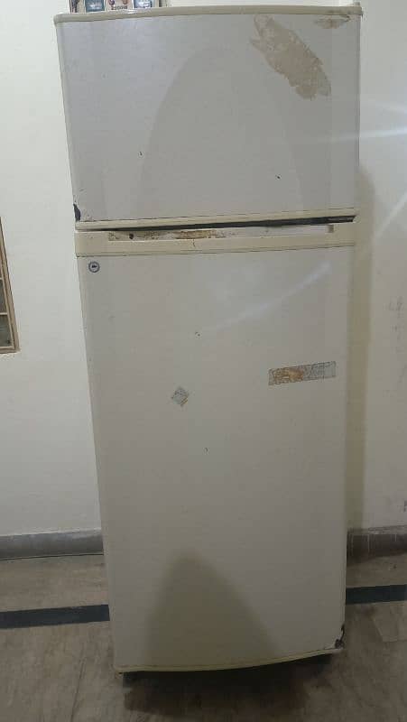 medium size fridge 3