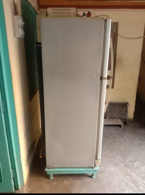 middle fridge 2