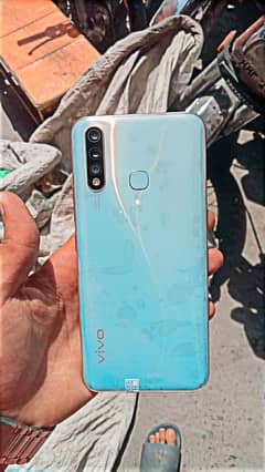 Vivo