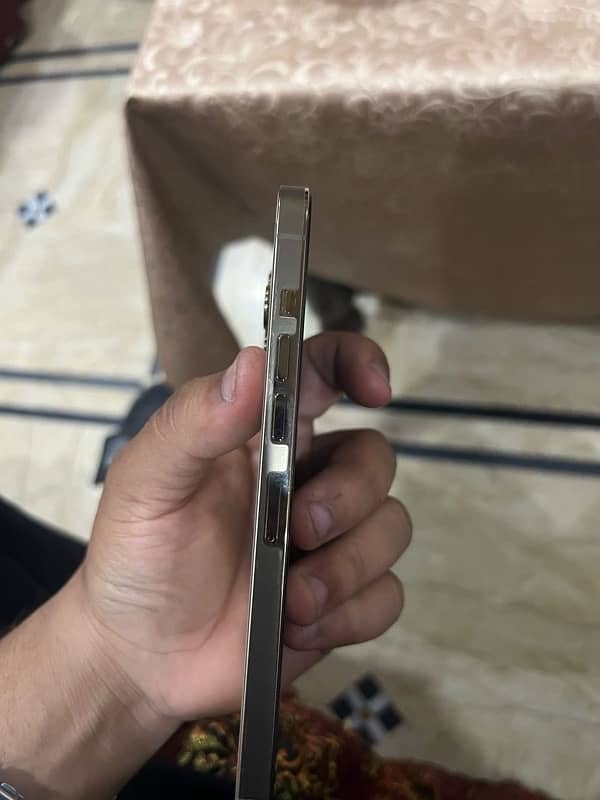 iphone 13 pro max golden clr 1