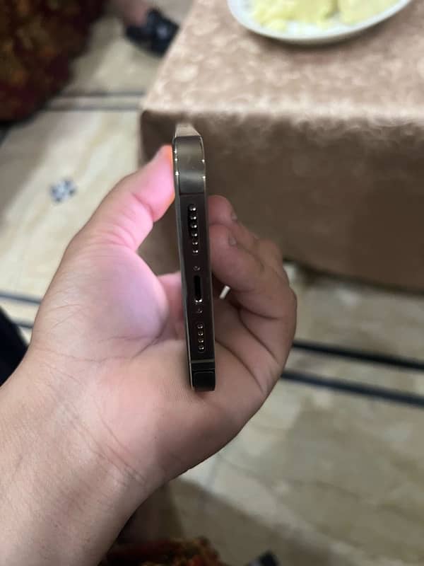 iphone 13 pro max golden clr 5