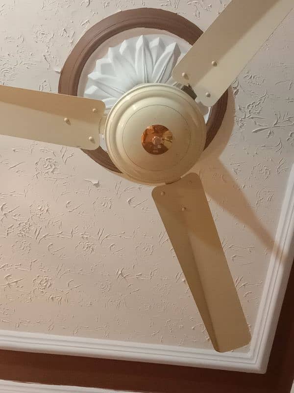 Fans Ceiling like new 10 by 10 Condition 0
