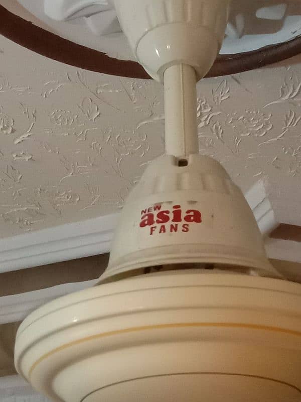 Fans Ceiling like new 10 by 10 Condition 1