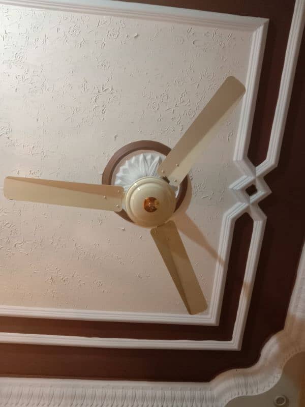 Fans Ceiling like new 10 by 10 Condition 2