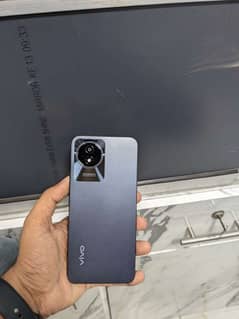 vivo
