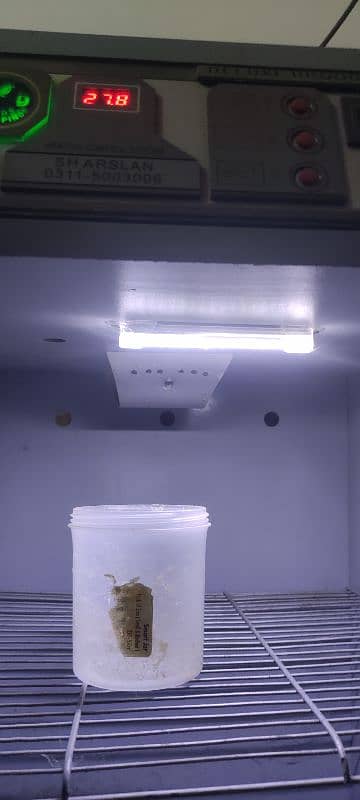 brooder 4