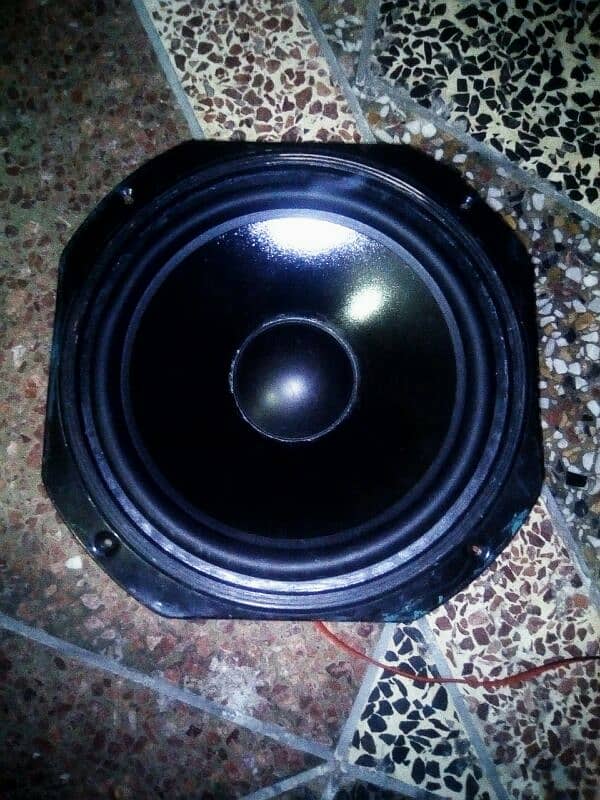 12 and 6x9 Subwoofer for sale 1