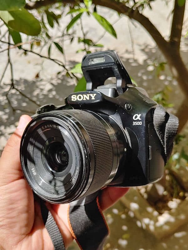 Sony Alpha A3500 Mirrorless 1