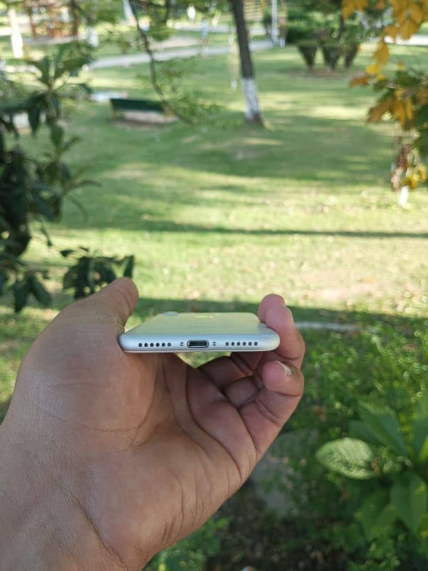 IPhone 7 7