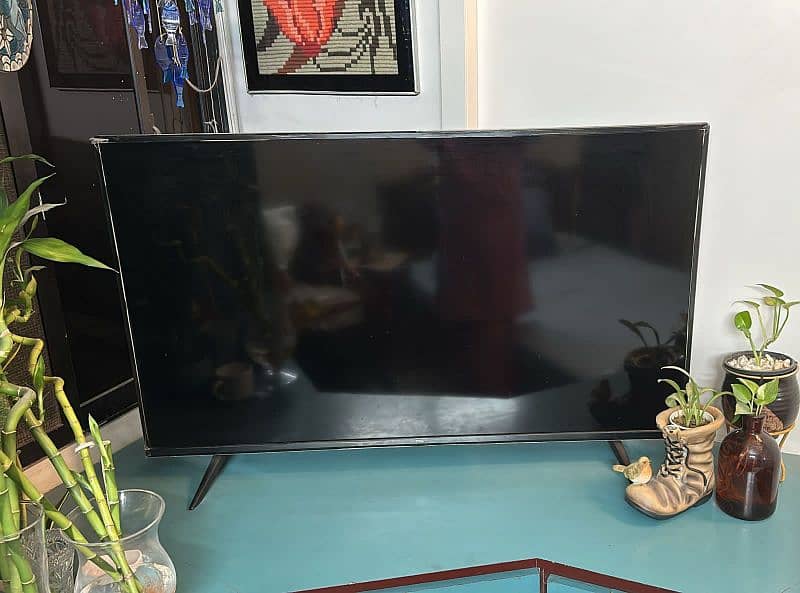 TCL smart LED available for sale 1
