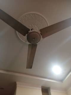 All