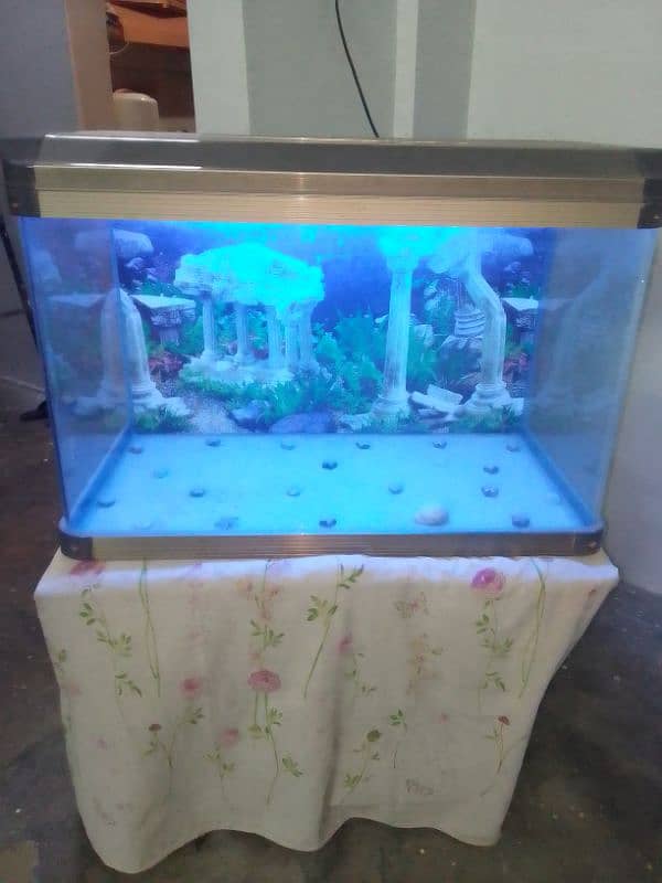 Fish Aquarium is for sale 3