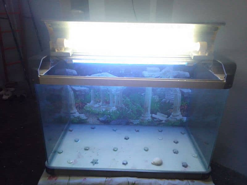 Fish Aquarium is for sale 4