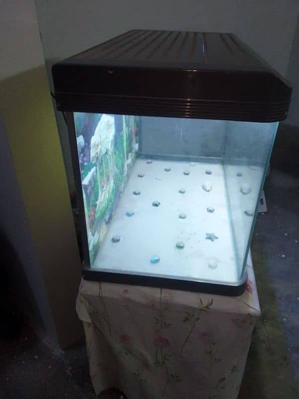 Fish Aquarium is for sale 5