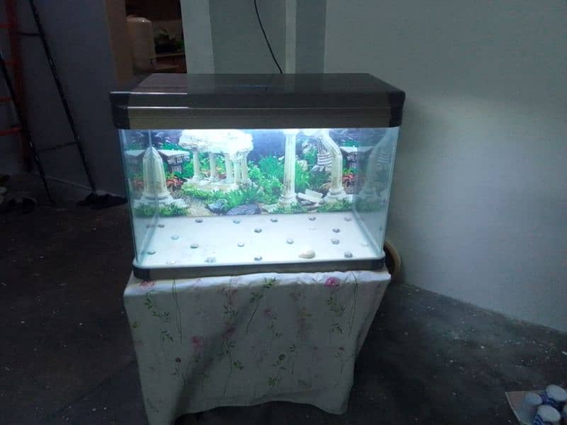 Fish Aquarium is for sale 6