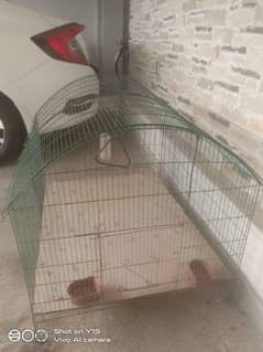 big cage