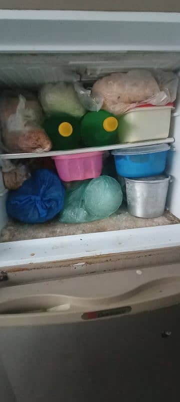 Dawlance medium fridge refrigerator 2