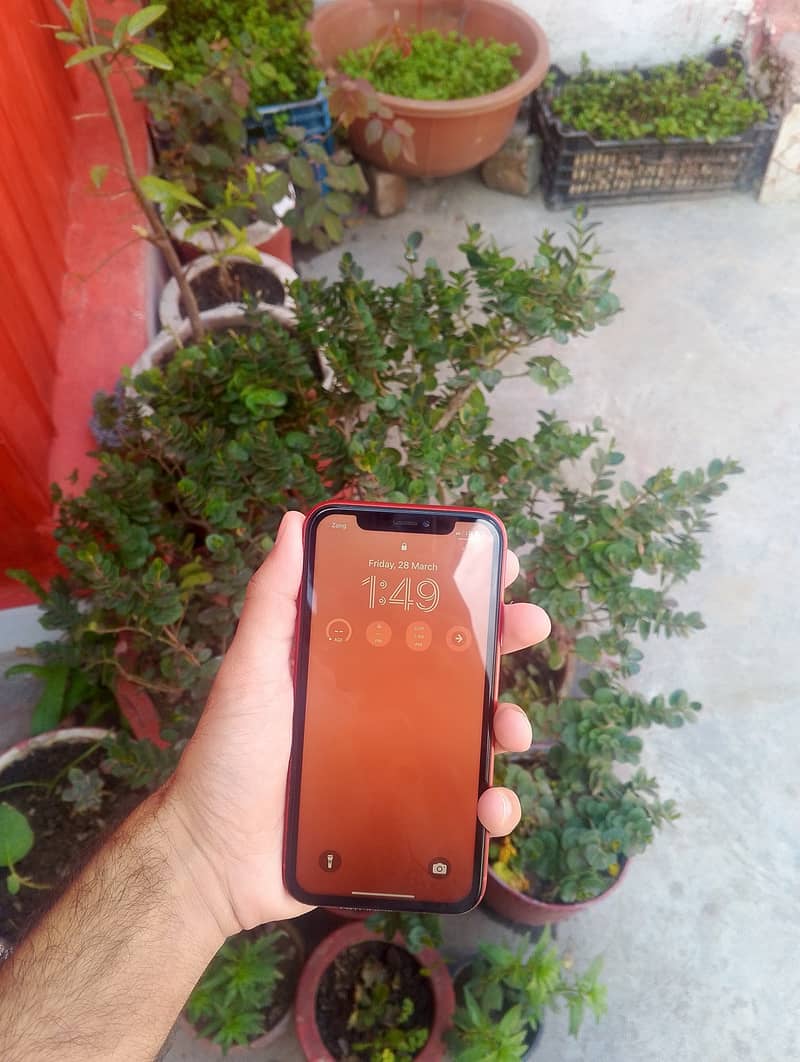 Apple iPhone XR 0