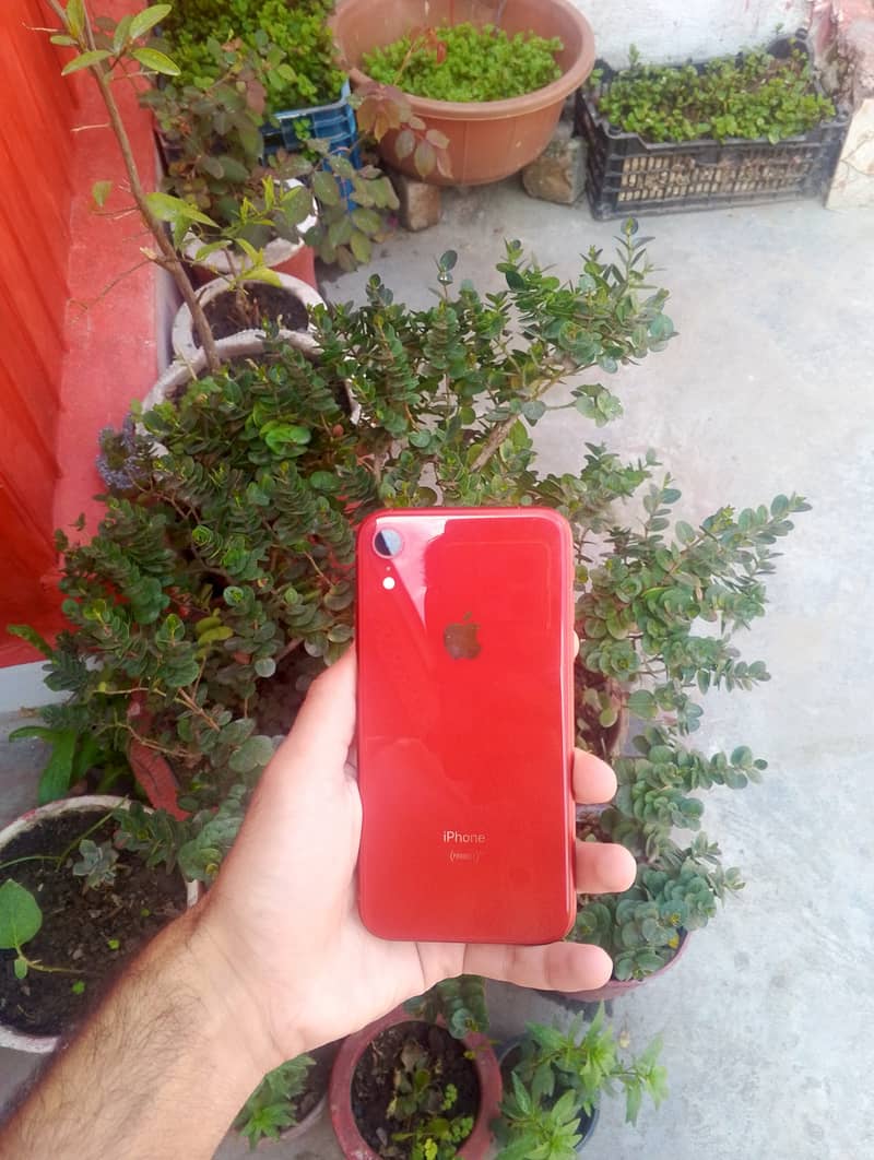 Apple iPhone XR 1