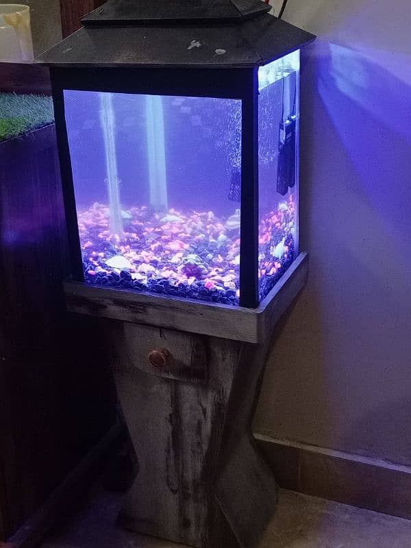 Fish Aquarium for Beginners 0