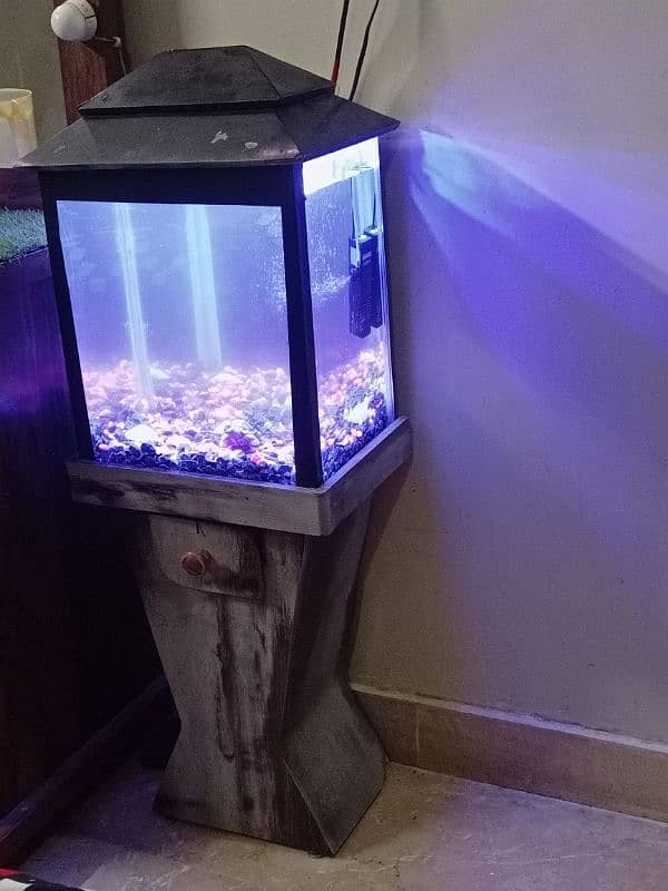Fish Aquarium for Beginners 3