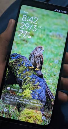 Redmi 13 (8GB -128GB)