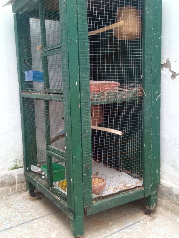 Cage for birds 1