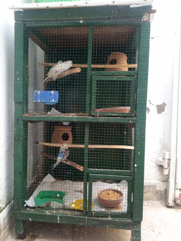 Cage for birds 2