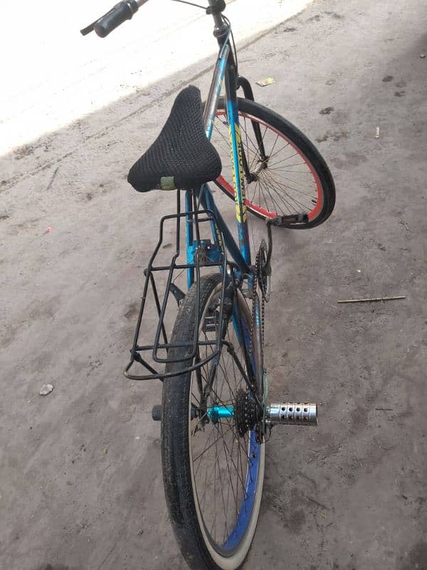 phonix 3