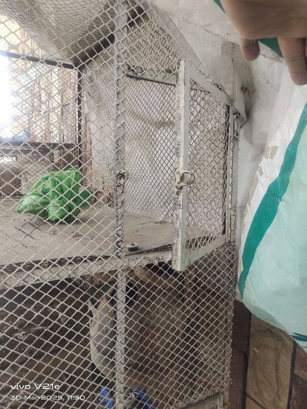 best strong cage for sale 2