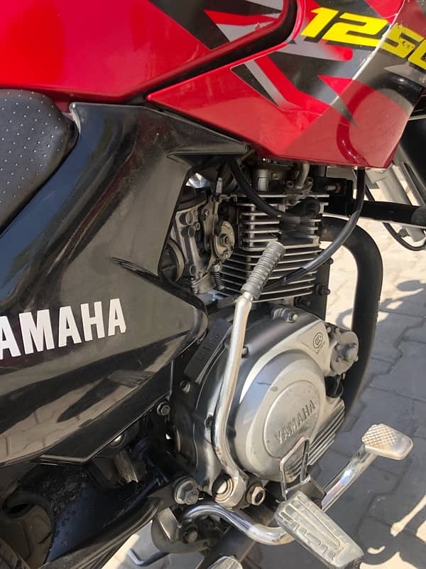YBR 125G 7