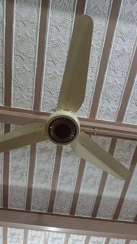 AC/DC ,2 Ceiling fan for urgent sale 0