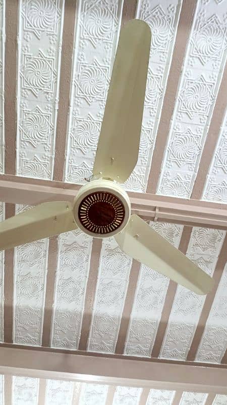 AC/DC ,2 Ceiling fan for urgent sale 2
